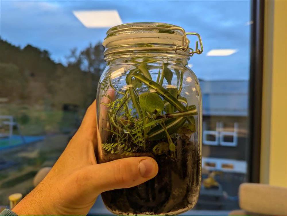 Glas med mold og plantevekstar - Klikk for stort bilete